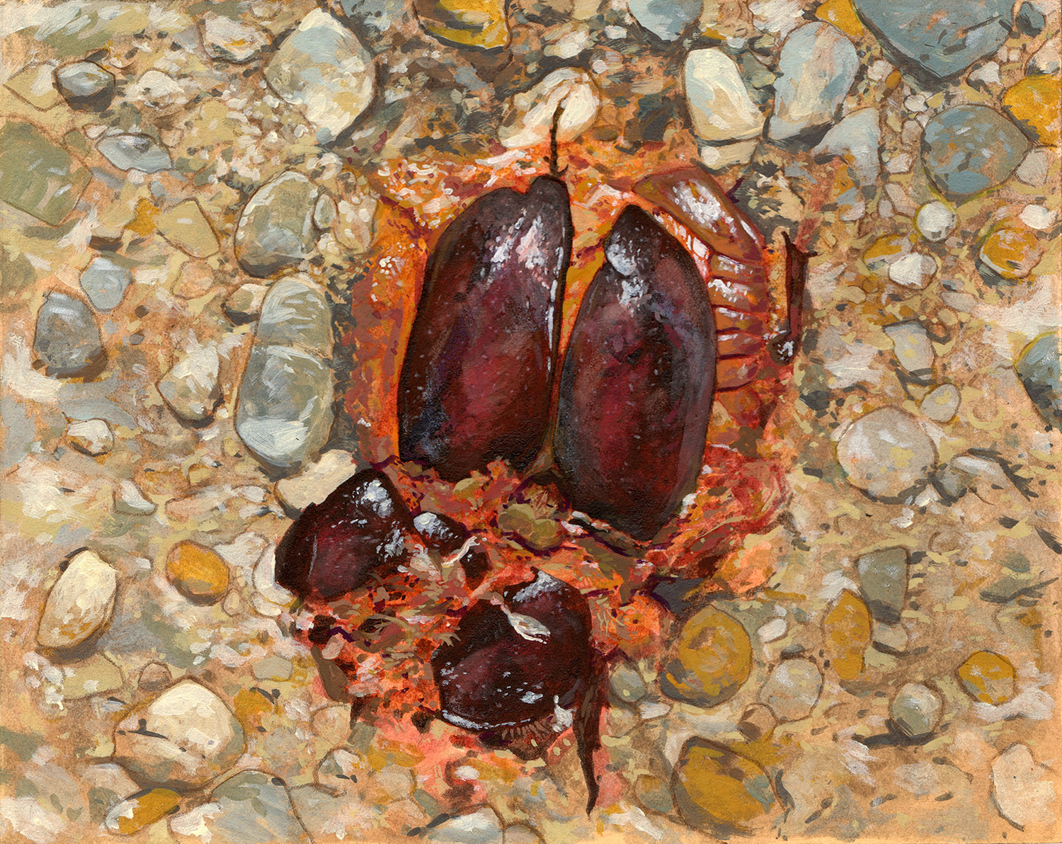 beetle;                Mischtechnik auf Karton; 25×20 cm; 2014
