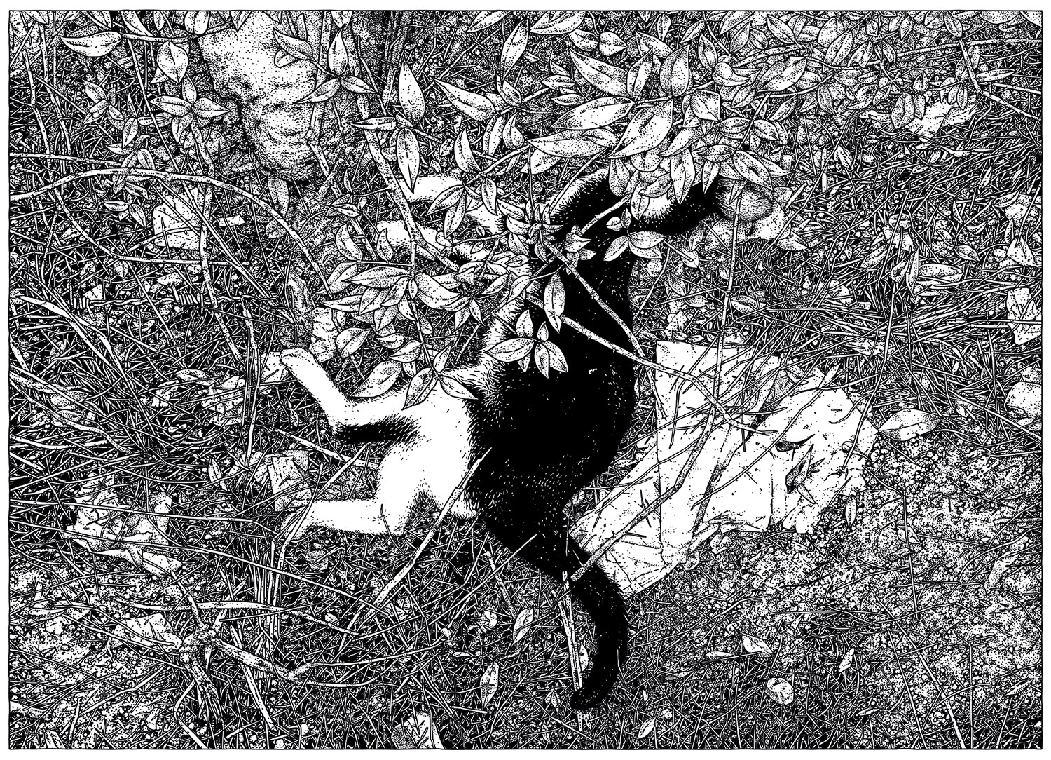 cat;                       18.09.2016 / 12:08 ; digitale Zeichnung; lim. Serigrafie, 10er Serie  (handgedruckt); 70×50 cm; 2017